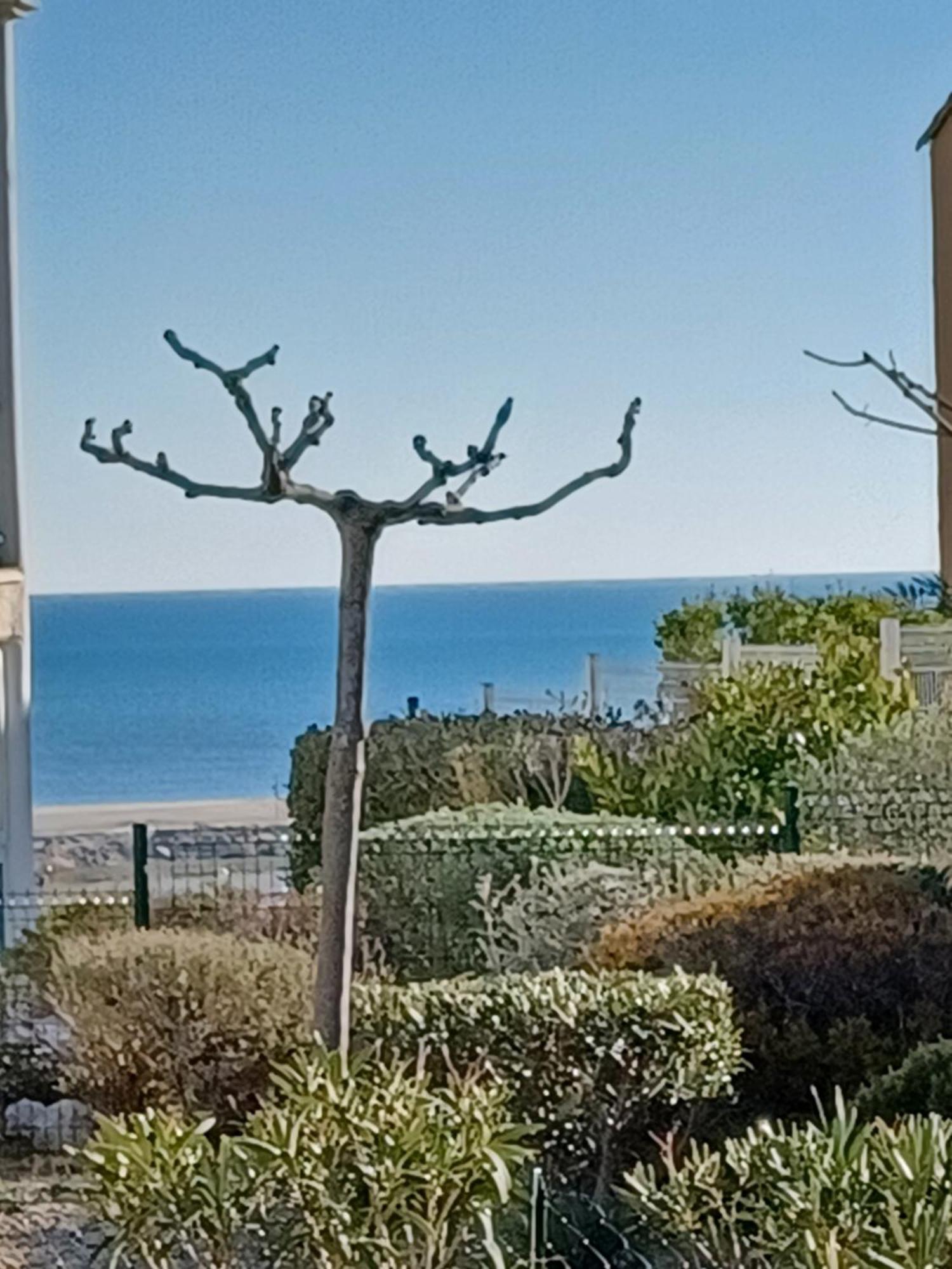 Plain-Pied Jardin 6 Personnes Clim Vue Mer Parking Wifi Terrasse Piscine Dans La Residence Saint-Pierre-la-Mer  Extérieur photo